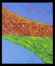 drshoba_contemporary_010