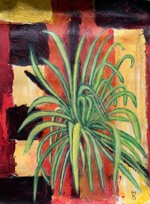 drshoba_contemporary_087